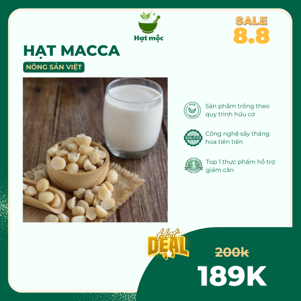 Hạt Macca Tách Vỏ – Macadamia Nguyên Vị – Snack Ăn Vặt Bổ Dưỡng – Không Chất Bảo Quản – Tốt Cho Tim Mạch - Hình ảnh 2