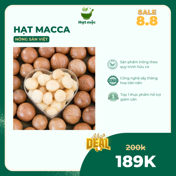 Hạt Macca Tách Vỏ – Macadamia Nguyên Vị – Snack Ăn Vặt Bổ Dưỡng – Không Chất Bảo Quản – Tốt Cho Tim Mạch - Hình ảnh 3